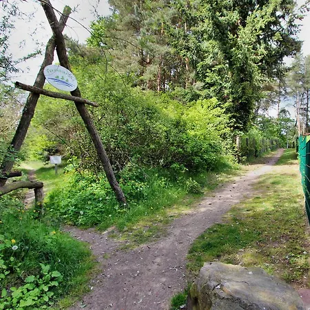 度假居 Ferien_haus Bergen Silz (Mecklenburg-Vorpommern)